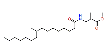 Hurghamide C